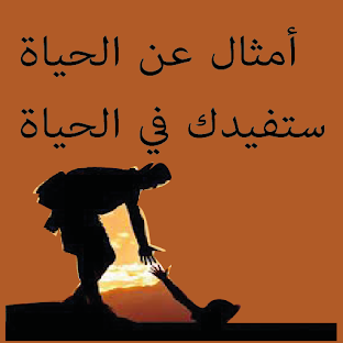 أمثال عن الحياة ستفيدك